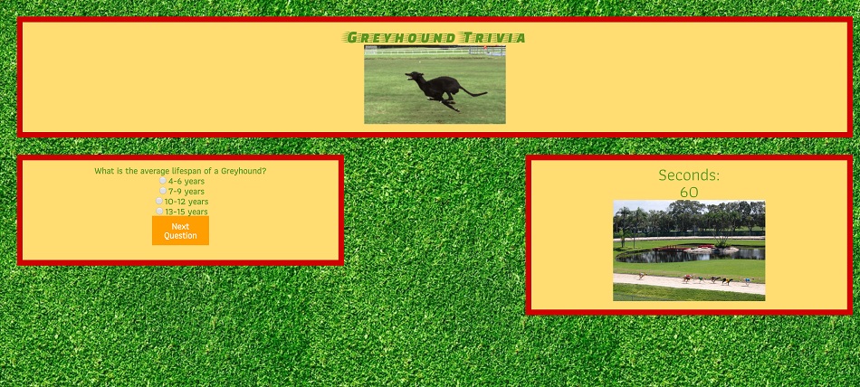 trivia